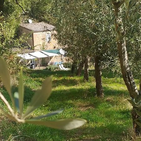 Bed and Breakfast L'antico Molino Lubriano Esterno foto