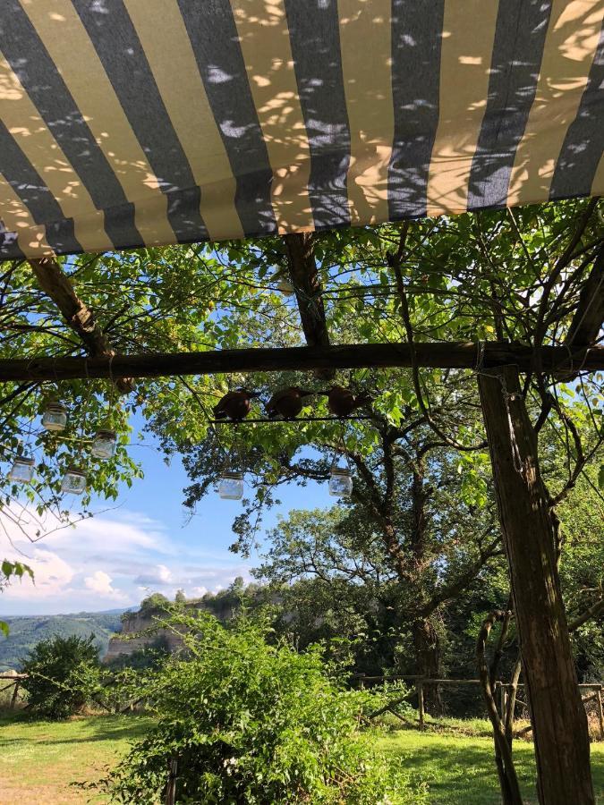 Bed and Breakfast L'antico Molino Lubriano Esterno foto