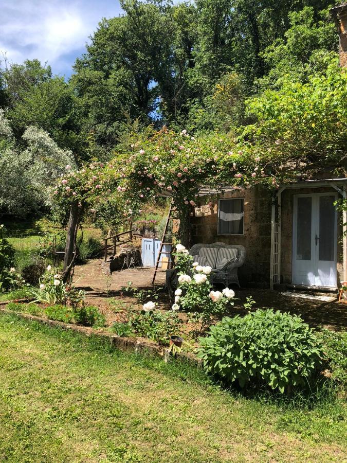 Bed and Breakfast L'antico Molino Lubriano Esterno foto