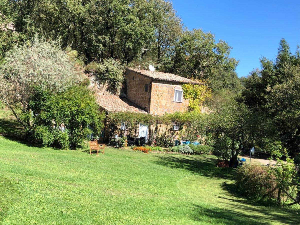 Bed and Breakfast L'antico Molino Lubriano Esterno foto