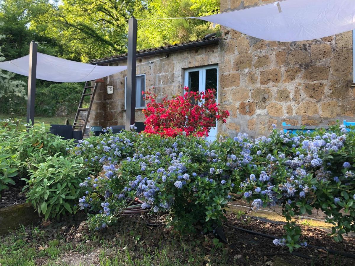 Bed and Breakfast L'antico Molino Lubriano Esterno foto